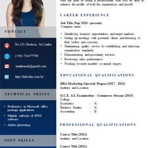 CV Design 01
