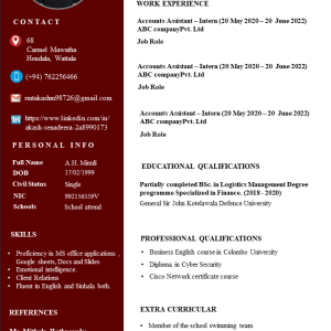 CV Template (ATS Friendly Canadian Format)